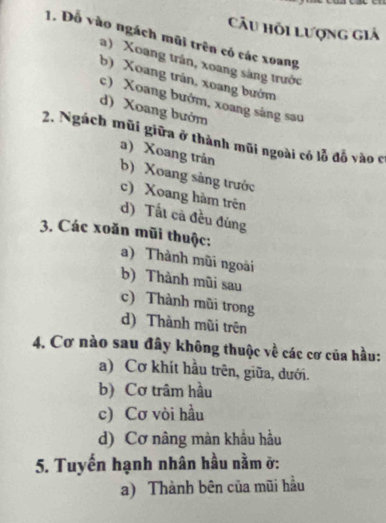 Câu hỏi lượng giả
1. Đỗ vào ngách mũi trên có các xoang
a) Xoang trần, xoang sáng trước
b) Xoang trán, xoang bướm
c) Xoang bướm, xoang sàng sau
d) Xoang bướm
2. Ngách mũi giữa ở thành mũi ngoài có lỗ đồ vào ở
a) Xoang trán
b) Xoang sảng trước
c) Xoang hàm trên
d) Tất cả đều đúng
3. Các xoăn mũi thuộc:
) Thành mũi ngoài
b) Thành mũi sau
c) Thành mũi trong
d) Thành mũi trên
4. Cơ nào sau đây không thuộc về các cơ của hầu:
a) Cơ khít hầu trên, giữa, dưới.
b) Cơ trâm hầu
c) Cơ vòi hầu
d) Cơ nâng màn khẩu hầu
5. Tuyến hạnh nhân hầu nằm ở:
a) Thành bên của mũi hầu