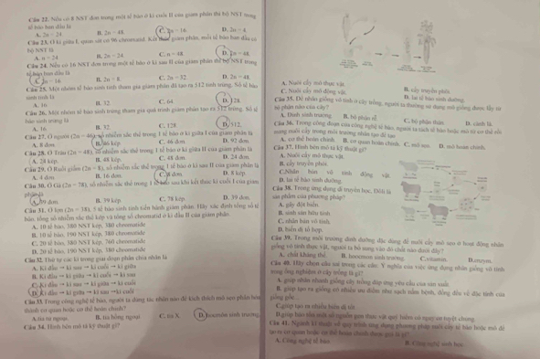 số táo ban đầu là Cầu 22. Nều có 8 NST đơn trong một tế tào ở ki cuội II của giam phần thi bộ NST mng
A., 2a-24 B. 2n-48 C. 2x-16 D. 2n-4
hộ NNT là Cầu 23, O ki giữu I, quan sát có 96 chromatd. Kết thức giám phẩm, mỗi tế bảo ban đầu có
A. a=24 B. 2n=24 C n=43 D. overline A=48
Clu 24. Nều có 16 NST đơs trong một tế bào ở ki sau Il của giam phin thể bộ NSF trong
sinh tinh là Căn 25, Một nhóm tế hảo sinh tinh tham gia giam phân đã tạo ra 512 tình trùng. Số tễ tự
C . h-16 π 2a=8 C. 2n=32 D. 2n-48 A. Nuôi củy mô thực vật B. cây truyền phối D. lại tế bào sinh dường.
C. Nuôi củy mô động vật
A. 10 H. 32. C. 64
Cầm 35, Đẻ nhón giống vô tính ở cây trồng, người ta thường sử đang mô giống được lấy từ
Câu 26, Một nhóm tế bào sinh trùng tham gia quá trình giám phản tạo ra 512 trừng. Số tộ D. 178    phân nào của cây ? A. Dình sánh trường B. bộ phàn nE C. bộ phận thân D. cành là
hào sành trùng là A. 16
B. 32. C. 128
Cầu 36, Trong công đoạn của công ngh) tế bào, người ta tách sử hào hoặc mô từ co thể rồi
D, 512.  sang nuôi cây trong môi trường nhân tạo đề tạo
Cân 27. O người A. 8 don (2a-4b)^circ  nhiễm sắc thể trong 1 tế bảo ơ ki giữa 1 của giam phân tả D. 92 don
A. cơ thể hoàn chính B. cơ quan hoàn chính. C. mô san.
B. 46 kep Cáa 37. Hình bèn mô tả kỹ thuật gi? D. mô hoàn chính.
(2n-48
Cău 28. O Triu A. 24 kep. ), rố nhiếm sắc thể trong 1 tế báo ở ki giữa I của giám phân là C. 46 dm C. 4$ don. D. 24 dm A. Ngôi cấy mô thực vật.
B. 48 kep.
A. 4 don  ), số nhiễm sắc thể trong 1 tế bào ở ki sau I của giam phân là B. cây truyền phái.
Cầu 29, Ở Ruôi giám (2n-1 B. 16 den C. $ dom D. 8 kèp D. lai sẽ hào sinh đường C.Nhân bàn vô tinh động vật
phān dà Câu 30. △ OCB=78) 4 số nhiễm sắc thể trong 1 tổ bao sau khi kết thực ki cuối 1 của giam
Cầa 38. Trong ứng dụng si truyên học, Đôli là
B. 39 kép C. 78 kép D. 39 dom sa phiên của phương pháp'
Cân 31. O lọm A 89 đơm  5 sế tào sinh tinh tiền hành giám phân. Hảy xác định sống số tế A. gây đột hiện.
(2n-3n
bôn, tổng số nhiễm sắc thể kếp và tổng số chromatid ở ki đầu II của giam phân D. biển dị tổ hợp.  C. nhân bán  ô  tin B. sinh sản hữu tinh
A. 10 tế hào. 380 NST kep, 380 chromatide
B. 10 tế bão, 190 NST kép, 380 chromatide
Cầu M, Trong mỗi trường đình đưỡng đặc dùng để nuôi củy mò seo ở hoạt động nhân
C. 20 tễ bào, 380 NST kép, 760 cheomatide gống vô tinh sực vật, người ta bò sung vào đó chết nào dưới đây?
D. 20 tế tảo, 190 NS T kếp, 380 cheomatide
Cầu XL Thứ tự các ki trong giai đoạn phần chia nhân là A. chất kháng thể B. hoocsson sinh troong. C.vitamin D.arzy0.
B. Ki đâ A. Ki dẫn to 1;w-mu _cos beginvmatrix endvmatrix to k giāa
Câa 40, Hây chọn câu sai trong các cầu: Y nghĩa của việc ứng đụng nhân giống vô tính rong Ông nghiệm ở cây trồng tà gi2
to k)_ito kI)ax'eto kisomega A. giúp nhân nhanh giống cây trồng đặp ứng yêu cầu của sản xuất
K  d    C Ki đầu to 1;souto 1ispato k|(a) giữ to 11sin -u-11cm^2 B. giép tạo ra giống có nhiều ưu điễm như sạch nằm bệnh, đồng đều vệ đặc tính của
|
Cầu M. Trong công nghệ tế bào, người ta dùng tác nhân nào để kích thích mô sẹo phần hóa giồng ge.
thành cơ quan hoặc cơ thể hoán chính? Cúp tạo ra nhiều biên đị tửa
Cầu 34. Hình běn mô tả kỹ thuật gi? A.tia tu ngoue B. tia hồng ngoại C. ts X D. hocmón sinh trườởng B.giúp báo sốo một số nguồn gan thực vật quý hiệm có nguy on tuyệt chung
Căm 41. Ngành kĩ thuật vố quy trình ứng dụng phương pháp nuổi củy tế bào hoặc mô để
ạo ra cơ quan hoậu ci thể hoàn chính được giả là gố B. Công nghệ sinh học
A. Công nghệ tễ báo