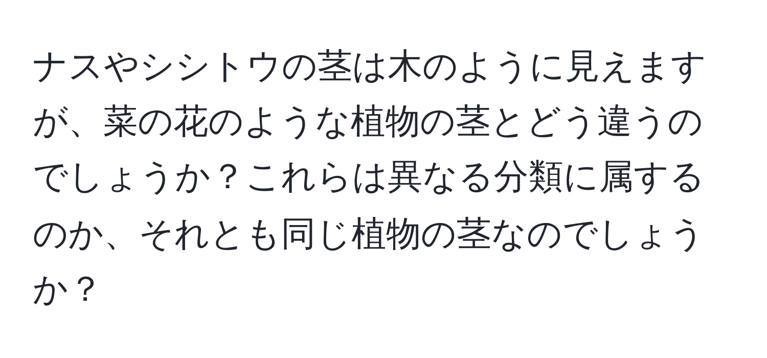 ナスやシシトウの茎は木のように見えますが、菜の花のような植物の茎とどう違うのでしょうか？これらは異なる分類に属するのか、それとも同じ植物の茎なのでしょうか？