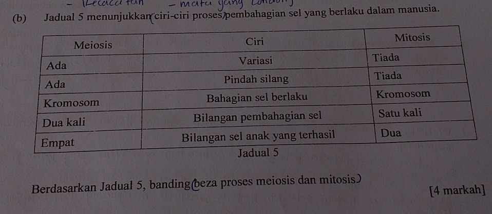 Jadual 5 menunjukkan ciri-ciri proses pembahagian sel yang berlaku dalam manusia. 
Berdasarkan Jadual 5, banding Ōeza proses meiosis dan mitosis) 
[4 markah]