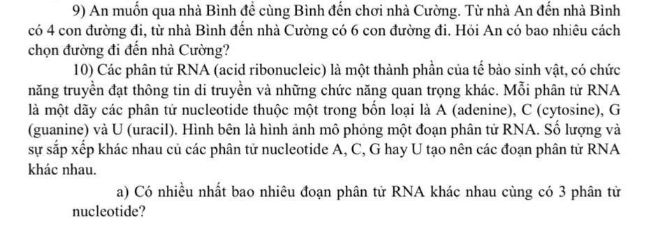 An muốn qua nhà Bình để cùng Bình đến chơi nhà Cường. Từ nhà An đến nhà Bình 
có 4 con đường đi, từ nhà Bình đến nhà Cường có 6 con đường đi. Hỏi An có bao nhiêu cách 
chọn đường đi đến nhà Cường? 
10) Các phân tử RNA (acid ribonucleic) là một thành phần của tế bào sinh vật, có chức 
năng truyền đạt thông tin di truyền và những chức năng quan trọng khác. Mỗi phân tử RNA 
là một dãy các phân tử nucleotide thuộc một trong bốn loại là A (adenine), C (cytosine), G 
(guanine) và U (uracil). Hình bên là hình ảnh mô phỏng một đoạn phân tử RNA. Số lượng và 
sự sắp xếp khác nhau củ các phân tử nucleotide A, C, G hay U tạo nên các đoạn phân tử RNA 
khác nhau. 
a) Có nhiều nhất bao nhiêu đoạn phân tử RNA khác nhau cùng có 3 phân tử 
nucleotide?