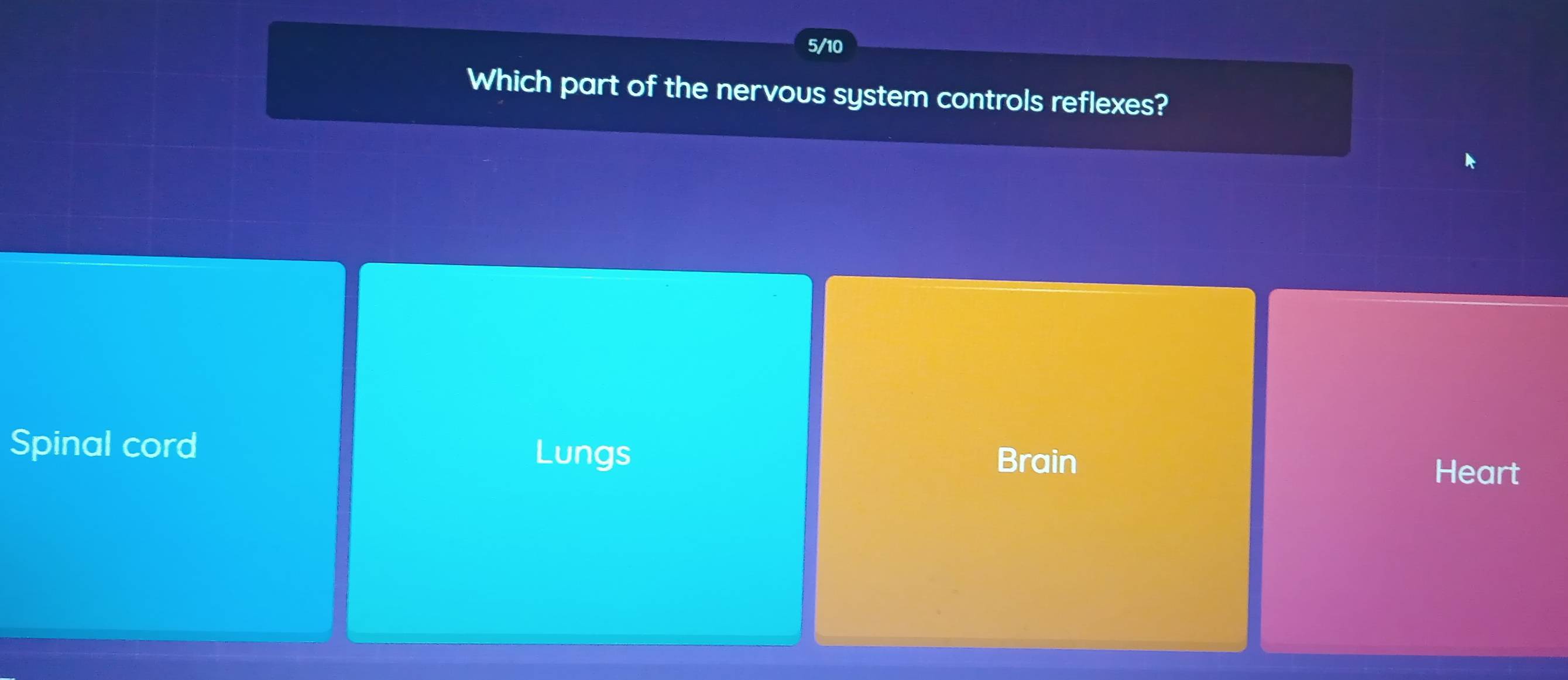 5/10
Which part of the nervous system controls reflexes?
Spinal cord
Lungs Brain Heart