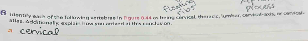 Identify each of the following vertebrae in Figure 8.44 as being cervical, thoracic, lumbar, cervical-axis, or cervical- 
atlas. Additionally, explain how you arrived at this conclusion.