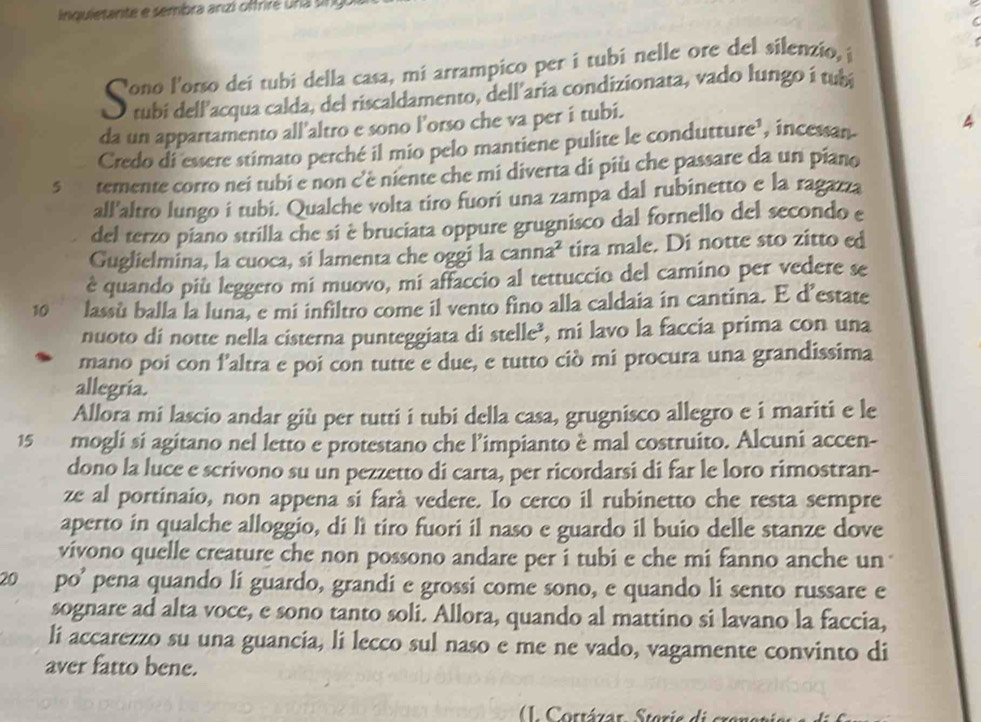 inquietante e sembra anzí offriré una sing.
Cono l'orso deí tubi della casa, mi arrampico per i tubí nelle ore del silenzio, i
O tubí dell'acqua calda, del riscaldamento, dell'aria condizionata, vado lungo í tubi
da un appartamento all'altro e sono l'orso che va per í tubi.
Credo di essere stimato perché il mio pelo mantiene pulite le condutture¹, incessan 4
s  temente corro nei tubi e non c'è niente che mi diverta di più che passare da un piano
all'altro lungo i tubi. Qualche volta tiro fuori una zampa dal rubinetto e la ragazza
del terzo piano strilla che si è bruciata oppure grugnisco dal fornello del secondo e
Guglielmina, la cuoca, si lamenta che oggi la canna² tira male. Di notte sto zitto ed
é quando più leggero mi muovo, mi affaccio al tettuccio del camino per vedere se
10 lassù balla la luna, e mi infiltro come il vento fino alla caldaia in cantina. E d’estate
nuoto di notte nella cisterna punteggiata di stelle³, mi lavo la faccia prima con una
mano poi con f’altra e poi con tutte e due, e tutto ciò mi procura una grandissima
allegria.
Allora mi lascio andar giù per tutti i tubi della casa, grugnisco allegro e i mariti e le
15 mogli si agitano nel letto e protestano che l’impianto è mal costruito. Alcuni accen-
dono la luce e scrivono su un pezzetto di carta, per ricordarsi di far le loro rimostran-
ze al portinaio, non appena si farà vedere. Io cerco il rubinetto che resta sempre
aperto in qualche alloggio, di lì tiro fuori il naso e guardo il buio delle stanze dove
vivono quelle creature che non possono andare per i tubi e che mi fanno anche un
20 po' pena quando li guardo, grandi e grossi come sono, e quando li sento russare e
sognare ad alta voce, e sono tanto soli. Allora, quando al mattino si lavano la faccia,
li accarezzo su una guancia, li lecco sul naso e me ne vado, vagamente convinto di
aver fatto bene.
(1. Cortázar, Steris di crenenis