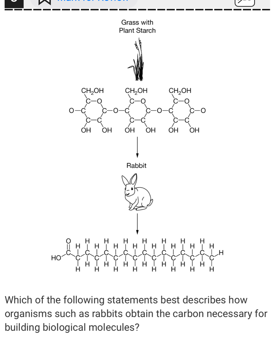Grass with 
Plant Starch 
frac ∈t _2n+^2^(nC__2^n)sumlimits _a_2-(-∈fty ,a^n^0 ab^2+2)^2+a^(sumlimits _a^2)^2^2^a^2=a^2+b^2+c^2+m q^(2n)(n+2)endarray.   
Which of the following statements best describes how 
organisms such as rabbits obtain the carbon necessary for 
building biological molecules?