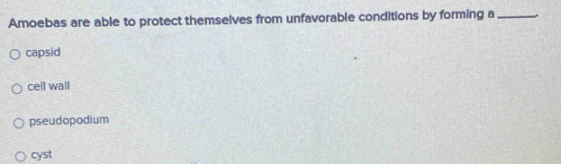 Amoebas are able to protect themselves from unfavorable conditions by forming a _.
capsid
cell wall
pseudopodium
cyst