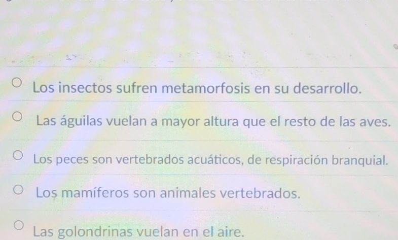 Los insectos sufren metamorfosis en su desarrollo.
Las águilas vuelan a mayor altura que el resto de las aves.
Los peces son vertebrados acuáticos, de respiración branquial.
Los mamíferos son animales vertebrados.
Las golondrinas vuelan en el aire.