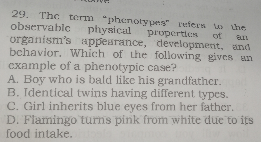 The term“phenotypes” refers to the
observable physical properties of an
organism’s appearance, development,and
behavior. Which of the following gives an
example of a phenotypic case?
A. Boy who is bald like his grandfather.
B. Identical twins having different types.
C. Girl inherits blue eyes from her father.
D. Flamingo turns pink from white due to its
food intake.