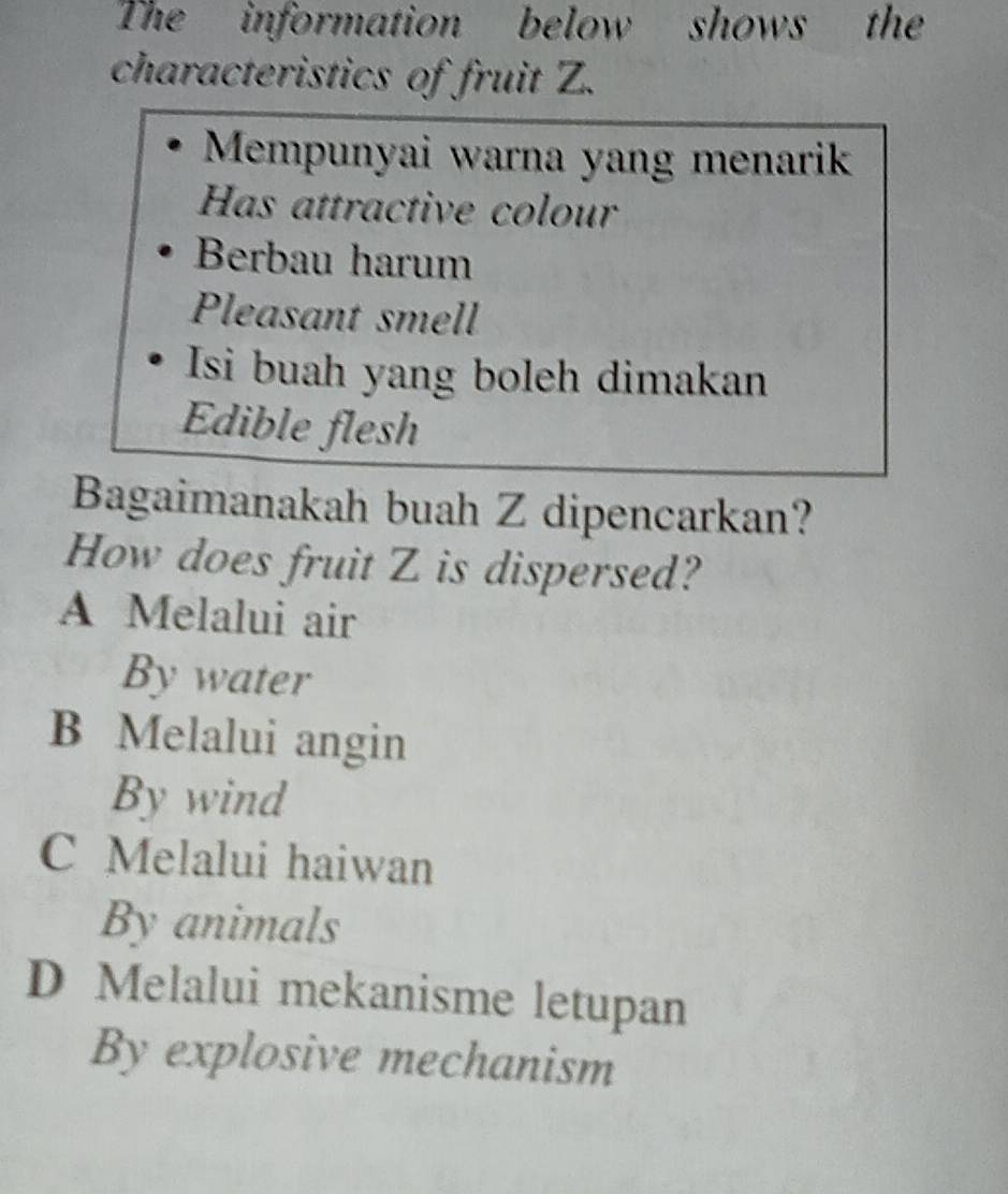 The information below shows the
characteristics of fruit Z.
Mempunyai warna yang menarik
Has attractive colour
Berbau harum
Pleasant smell
Isi buah yang boleh dimakan
Edible flesh
Bagaimanakah buah Z dipencarkan?
How does fruit Z is dispersed?
A Melalui air
By water
B Melalui angin
By wind
C Melalui haiwan
By animals
D Melalui mekanisme letupan
By explosive mechanism