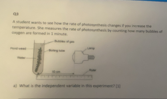 A student wants to see how the rate of photosynthesis changes if you increase the 
temperature. She measures the rate of photosynthesis by counting how many bubbles of 
oxygen are formed in 1 minute. 
a) What is the independent variable in this experiment? [1]