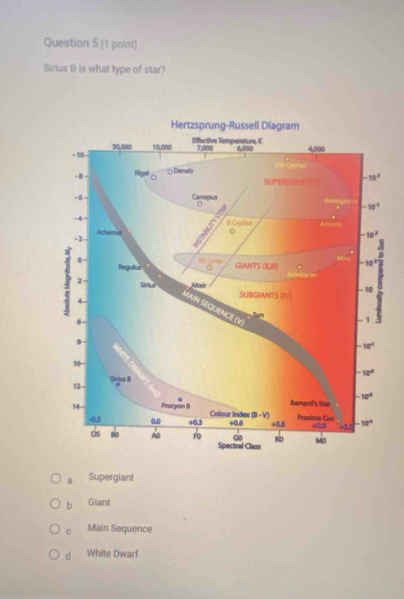 Sirius B is what type of star?
a Supergiant
b Giant
C Main Sequence
d White Dwarf