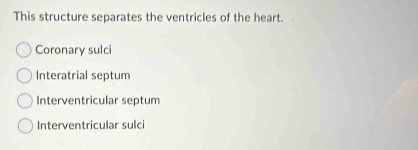 This structure separates the ventricles of the heart.
Coronary sulci
Interatrial septum
Interventricular septum
Interventricular sulci