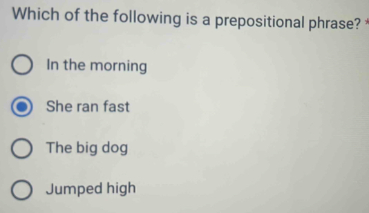 Which of the following is a prepositional phrase?
In the morning
She ran fast
The big dog
Jumped high