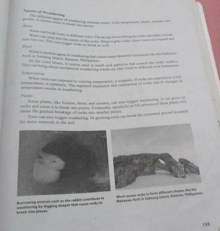 Agents of Weathering 
The different agents of weathering includes wase, wind, temperre, plants, animals, and 
people. It causes rocks to break into pieces. 
Hister 
Wister can break rocks in different ways. The strong waves hitting the rocks can make it break 
Water can seep into the cracks of the rocks. When it gets colder, these water can expand and 
turn into sue. This can trigger rocks to break as well 
Wind 
Wind is another agent of weathering that causes many beautiful formations like the Mahayaw 
Arch in Sabiang Island, Batanes, Philippines 
As the wind blows, it carries sand or small rock particles that scratch the rocks' surface. 
This can bring about mechanical weathering which can also result to different rock formations 
Temperature 
When rocks are exposed to varying temperature, it expands If rocks are exposed to a low 
temperature, it contracts. The repeated expansion and contraction of rocks due to changes in 
temperature results in weathering. 
Plants 
Some plants, like lichens, ferns, and mosses, can also trigger weathering. It can grow on 
rocks and cause it to break into pieces. Eventually, metabolic or life process of these plants will 
cause the gradual breakage of rocks into smaller pieces. 
Trees can also trigger weathering. Its growing roots can break the cemented ground in search 
for more minerals in the soil. 
Burrowing animals such as the rabbit contribute tWind causes rocks to form diff 
weathering by digging deeper that cause rocks to Mahayaw Arch in Sabtang Island, Batanes, Philippines. 
break into pieces.
155