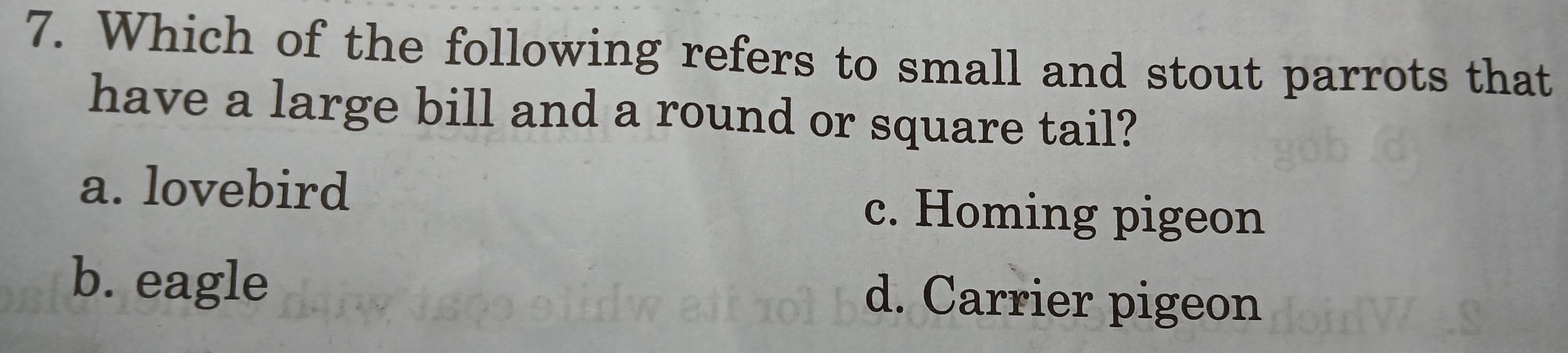 Which of the following refers to small and stout parrots that
have a large bill and a round or square tail?
a. lovebird c. Homing pigeon
b. eagle
d. Carrier pigeon