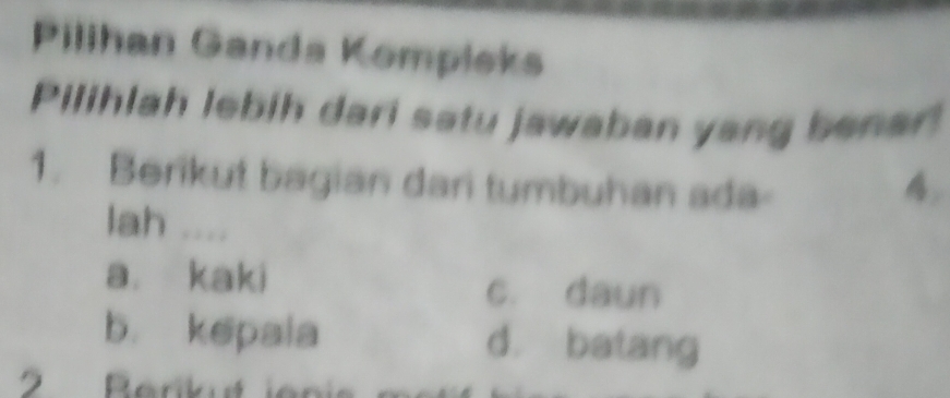 Pilihan Ganda Kompieks
Pilihlah lebih dari satu jawaban yang benar!
1. Berikut bagian dari tumbuhan ada 4
lah ....
a. kaki c. daun
b. kepaia d. batang