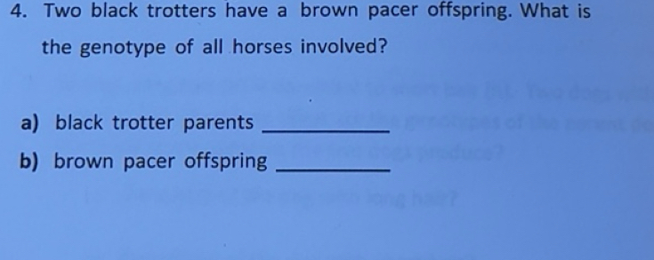 Solved: Two black trotters have a brown pacer offspring. What is the ...