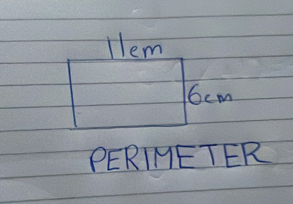 lem
6em
PERIMETER