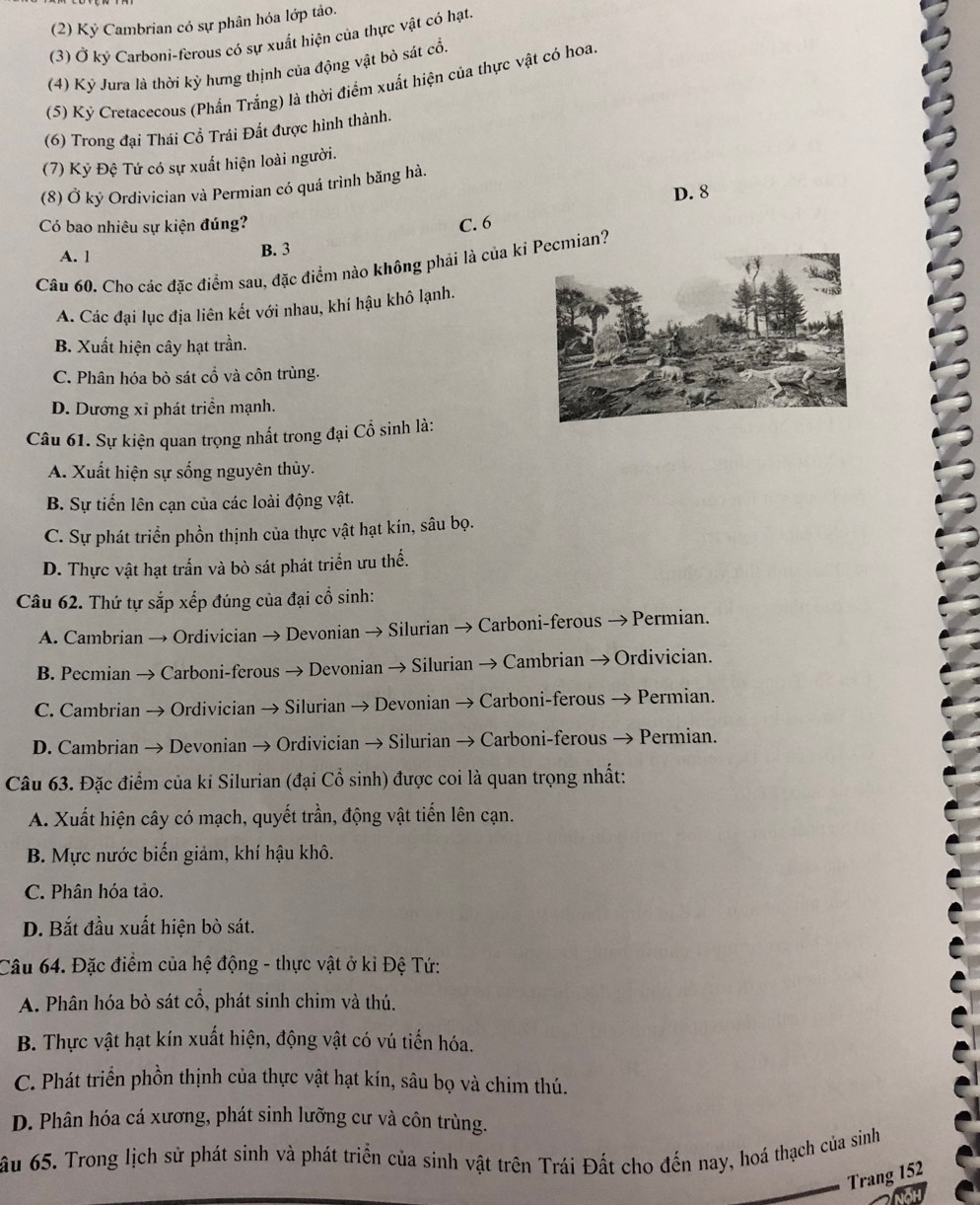 (2) Kỷ Cambrian có sự phân hóa lớp tảo.
(3) Ở ký Carboni-ferous có sự xuất hiện của thực vật có hạt.
(4) Ký Jura là thời kỳ hưng thịnh của động vật bò sát cổ.
(5) Ký Cretacecous (Phần Trắng) là thời điểm xuất hiện của thực vật có hoa.
(6) Trong đại Thái Cổ Trái Đất được hình thành.
(7) Kỷ Đệ Tứ có sự xuất hiện loài người.
(8) Ở kỳ Ordivician và Permian có quá trình băng hà.
D. 8
Có bao nhiêu sự kiện đúng? C. 6
A. l B. 3
Câu 60. Cho các đặc điểm sau, đặc điểm nào không phải là của kian?
A. Các đại lục địa liên kết với nhau, khí hậu khô lạnh.
B. Xuất hiện cây hạt trần.
C. Phân hóa bỏ sát cổ và côn trùng.
D. Dương xỉ phát triển mạnh.
Câu 61. Sự kiện quan trọng nhất trong đại Cổ sinh là:
A. Xuất hiện sự sống nguyên thủy.
B. Sự tiến lên cạn của các loài động vật.
C. Sự phát triển phồn thịnh của thực vật hạt kín, sâu bọ.
D. Thực vật hạt trấn và bò sát phát triển ưu thể.
Câu 62. Thứ tự sắp xếp đúng của đại cổ sinh:
A. Cambrian → Ordivician → Devonian → Silurian → Carboni-ferous → Permian.
B. Pecmian → Carboni-ferous → Devonian → Silurian → Cambrian → Ordivician.
C. Cambrian → Ordivician → Silurian → Devonian → Carboni-ferous → Permian.
D. Cambrian → Devonian → Ordivician → Silurian → Carboni-ferous → Permian.
Câu 63. Đặc điểm của ki Silurian (đại Cổ sinh) được coi là quan trọng nhất:
A. Xuất hiện cây có mạch, quyết trần, động vật tiến lên cạn.
B. Mực nước biến giảm, khí hậu khô.
C. Phân hóa tảo.
D. Bắt đầu xuất hiện bò sát.
Câu 64. Đặc điểm của hệ động - thực vật ở kỉ Đệ Tứ:
A. Phân hóa bò sát cổ, phát sinh chim và thú.
B. Thực vật hạt kín xuất hiện, động vật có vú tiến hóa.
C. Phát triển phồn thịnh của thực vật hạt kín, sâu bọ và chim thú.
D. Phân hóa cá xương, phát sinh lưỡng cư và côn trùng.
ầu 65. Trong lịch sử phát sinh và phát triển của sinh vật trên Trái Đất cho đến nay, hoá thạch của sinh
Trang 152