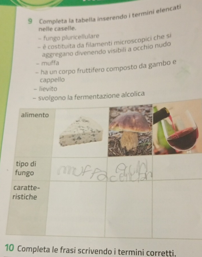 Completa la tabella inserendo i termini elencati 
nelle caselle. 
- fungo pluricellulare 
- è costituita da filamenti microscopici che si 
aggregano divenendo visibili a occhio nudo 
- muffa 
- ha un corpo fruttifero composto da gambo e 
cappello 
- lievito 
no la fermentazione alcolica 
10 Completa le frasi scrivendo i termini corretti.