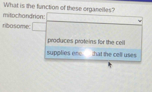 What is the function of these organelles? 
mitochondrion: 
ribosome: 
produces proteins for the cell 
supplies ene. that the cell uses