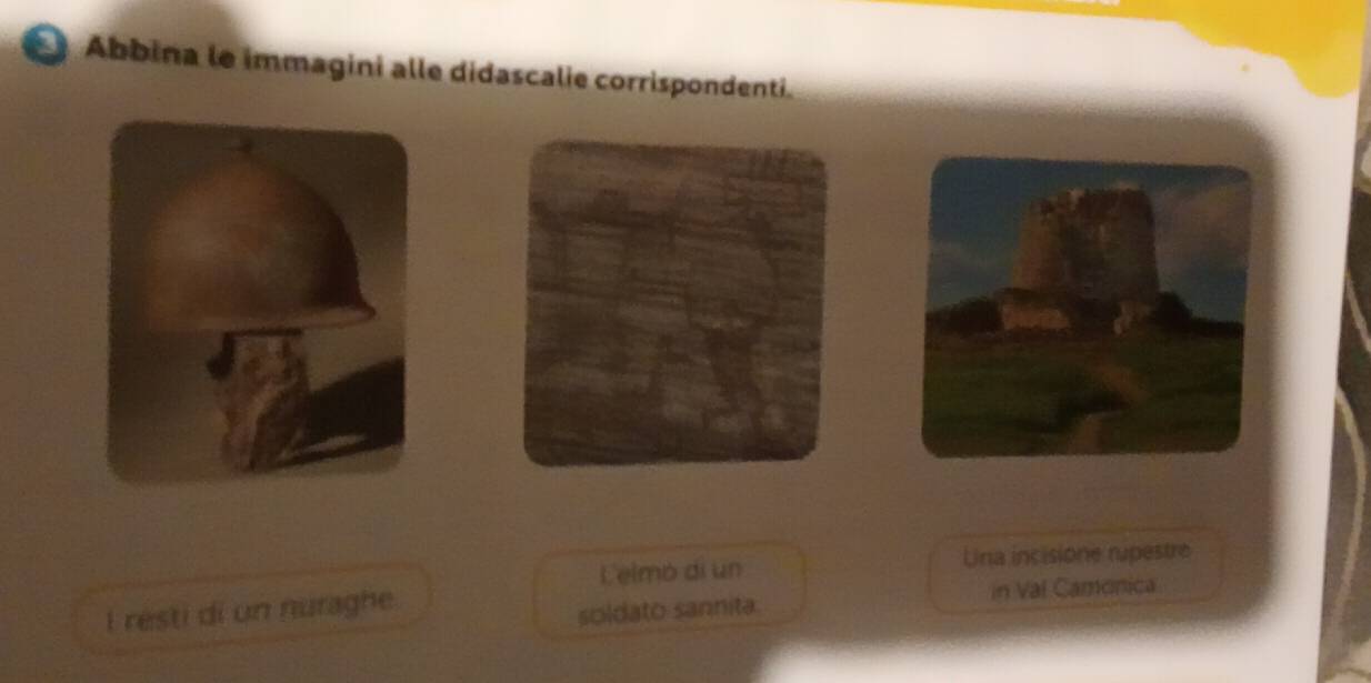 Risolto:Abbina le immagini alle didascalie corrispondenti. Celmó di un ...
