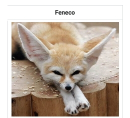 Feneco