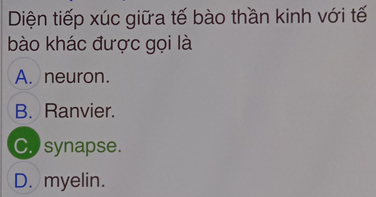 Diện tiếp xúc giữa tế bào thần kinh với tế
bào khác được gọi là
A. neuron.
B. Ranvier.
C. synapse.
D. myelin.