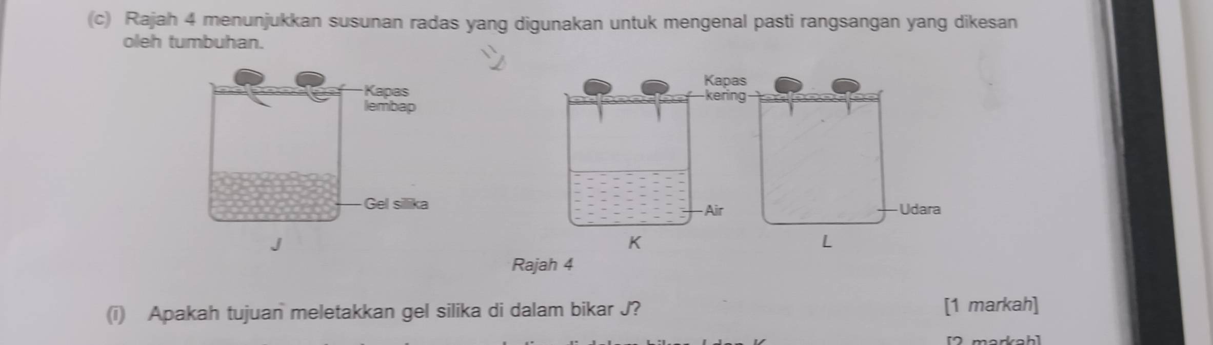 Rajah 4 menunjukkan susunan radas yang digunakan untuk mengenal pasti rangsangan yang dikesan 
oleh tumbuhan. 
Rajah 4 
(i) Apakah tujuan meletakkan gel silika di dalam bikar J? [1 markah] 
[2 markah]