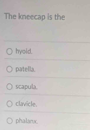 The kneecap is the
hyoid.
patella.
scapula.
clavicle.
phalanx.