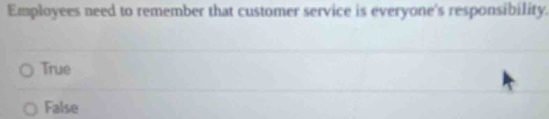 Employees need to remember that customer service is everyone's responsibility.
True
False