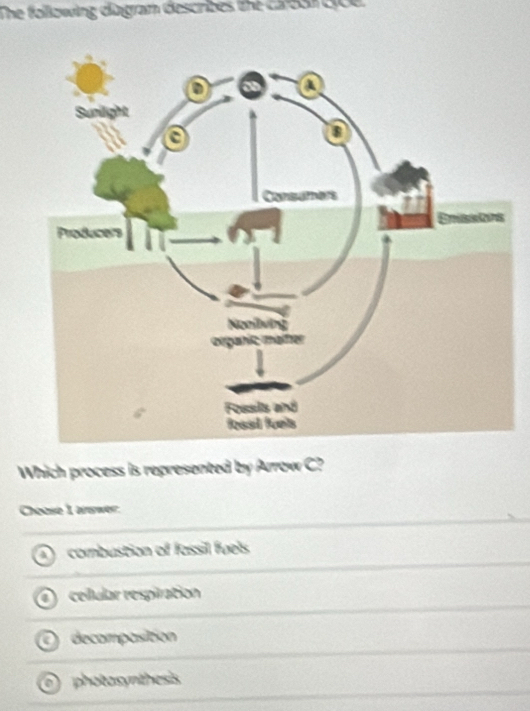 The following diagram describes the care31 100.
Which process is represented by Arrow C?
Choose 1 arswer.
combustion of fassil fuels
cellular respiration
decomposition
a photosynthesis