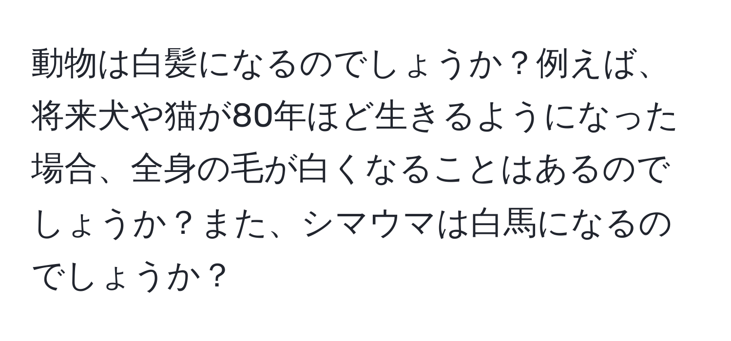 動物は白髪になるのでしょうか？例えば、将来犬や猫が80年ほど生きるようになった場合、全身の毛が白くなることはあるのでしょうか？また、シマウマは白馬になるのでしょうか？
