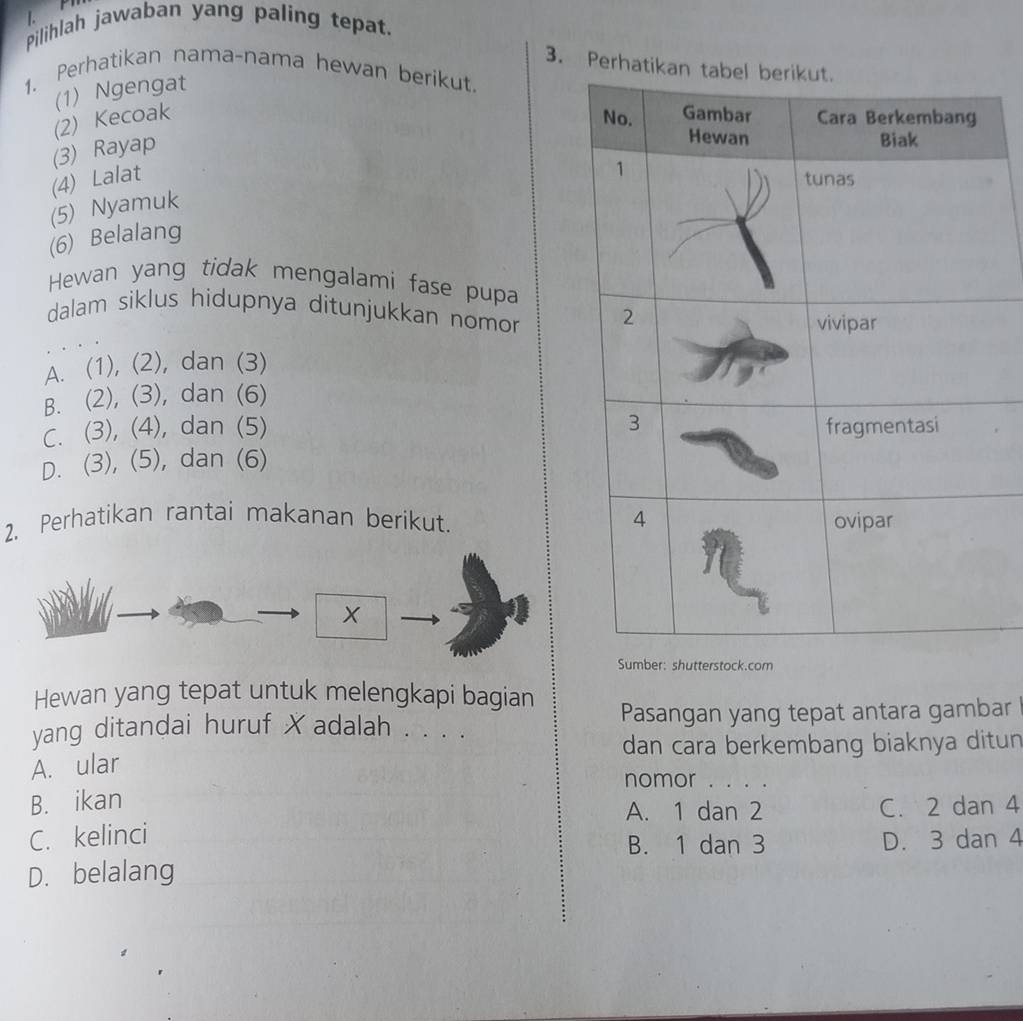 Pilihlah jawaban yang paling tepat.
3. Perh
1. Perhatikan nama-nama hewan berikut.
(1) Ngengat
(2) Kecoak
(3) Rayap
(4) Lalat
(5) Nyamuk
(6) Belalang
Hewan yang tidak mengalami fase pupa
dalam siklus hidupnya ditunjukkan nomor
A. (1), (2), dan (3)
B. (2), (3), dan (6)
C. (3), (4), dan (5)
D. (3), (5), dan (6)
2, Perhatikan rantai makanan berikut.
X
Sumber: shutterstock.com
Hewan yang tepat untuk melengkapi bagian
yang ditandai huruf X adalah . . . . Pasangan yang tepat antara gambar 
dan cara berkembang biaknya ditun
A. ular
nomor . . . .
B. ikan
A. 1 dan 2 C. 2 dan 4
C. kelinci B. 1 dan 3 D. 3 dan 4
D. belalang