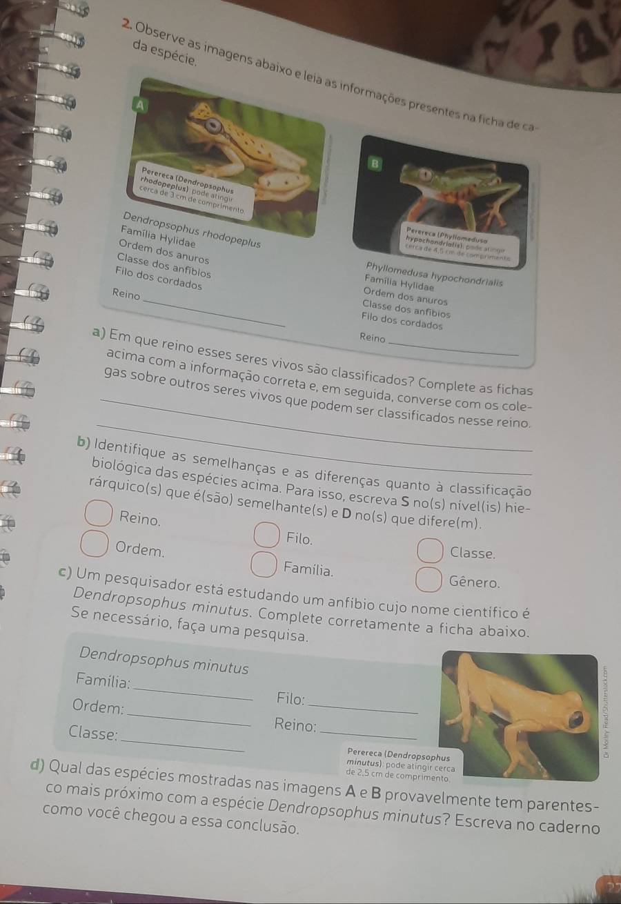 da espécie.
2. Observe as imagens abaixnformações presentes na ficha de ca
peréreca (Phyllomedusa
hypochondriat is), pode a tng e 
em dos anuros
cerca de 4,5 km de comprimento
Classe dos anfíbios
Phyllomedusa hypochondrialis
Filo dos cordados
_
Família Hylidae
Reino
Ordem dos anuros
Classe dos anfíbios
Filo dos cordados
Reino
a) Em que reino esses seres vivos são classificados? Complete as fichas
acima com a informação correta e, em seguida, converse com os cole-
_
_gas sobre outros seres vivos que podem ser classificados nesse reino
b) Identifique as semelhanças e as diferenças quanto à classificação
biológica das espécies acima. Para isso, escreva S no(s) nível(is) hie-
rárquico(s) que é(são) semelhante(s) e D no(s) que difere(m).
Reino.
Filo.
Ordem. Classe.
Família. Gênero.
c) Um pesquisador está estudando um anfíbio cujo nome científico é
Dendropsophus minutus. Complete corretamente a ficha abaixo.
Se necessário, faça uma pesquisa.
Dendropsophus minutus
_
Familia:
_
_
Filo:
Ordem:
_
Reino:
Classe:
_
Perereca (Dendropso
minutus): pode atingi
de 2,5 cm de comprim
d) Qual das espécies mostradas nas imagens A e B provavelmente tem parentes-
co mais próximo com a espécie Dendropsophus minutus? Escreva no caderno
como você chegou a essa conclusão.