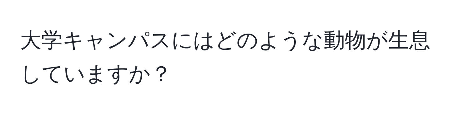大学キャンパスにはどのような動物が生息していますか？