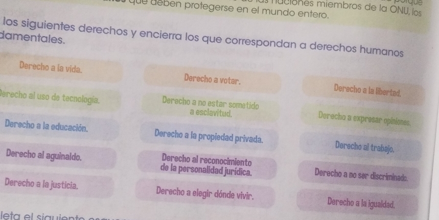 Sorque
us nuciones miembros de la ONU, los
que deben protegerse en el mundo entero.
los siguientes derechos y encierra los que correspondan a derechos humanos
damentales.
Derecho a la vida. Derecho a votar. Derecho a la libertad,
Derecho al uso de tecnología.
Derecho a no estar sometido Derecho a expresar opiniones.
a esclavitud.
Derecho a la educación. Derecho a la propiedad privada. Derecho al trabajo.
Derecho al reconocimiento
Derecho al aguinaldo. de la personalidad jurídica. Derecho a no ser discriminado.
Derecho a la justicia. Derecho a elegir dónde vivir. Derecho a la igualdad.
leta el siguiento