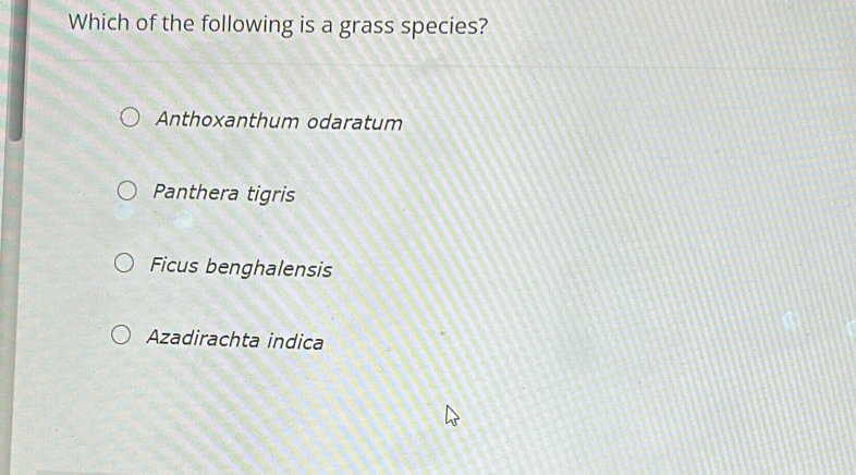 Which of the following is a grass species?
Anthoxanthum odaratum
Panthera tigris
Ficus benghalensis
Azadirachta indica