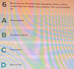 Remoras are fish that swim alongside sharks, eating
6 scraps that the sharks leave behind. This is an example
of:
A Amensalism
Commensalism
Parasitism
Mutualism