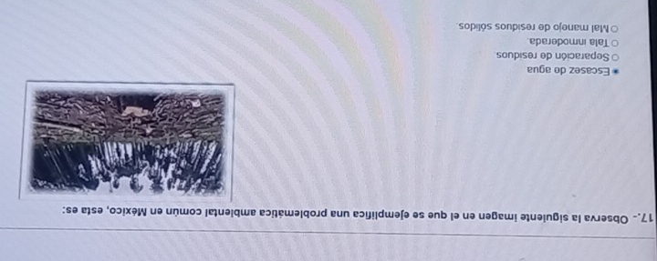 17.- Observa la siguiente imagen en el que se ejemplifica una problemática ambiental común en México, esta es:
Escasez do agua
Separación de residuos
Tala inmoderada
Mal manejo de resíduos sólidos