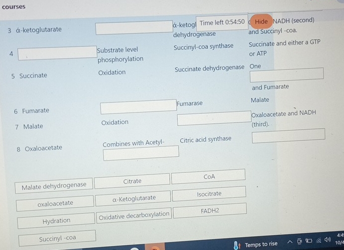 courses 
3 ά-ketoglutarate á-ketogl Time left 0:54:50 Hide NADH (second) 
dehydrogenase and Succinyl -coa. 
4 Substrate level Succinyl-coa synthase Succinate and either a GTP 
phosphorylation or ATP 
5 Succinate Oxidation Succinate dehydrogenase One 
and Fumarate 
Fumarase Malate 
6 Fumarate 
7 Malate Oxidation Oxaloacetate and NADH 
(third). 
8 Oxaloacetate Combines with Acetyl- Citric acid synthase 
Malate dehydrogenase Citrate CoA 
oxaloacetate α-Ketoglutarate Isocitrate 
Hydration Oxidative decarboxylation FADH2 
Succinyl -coa
4:4
Temps to rise 10/4