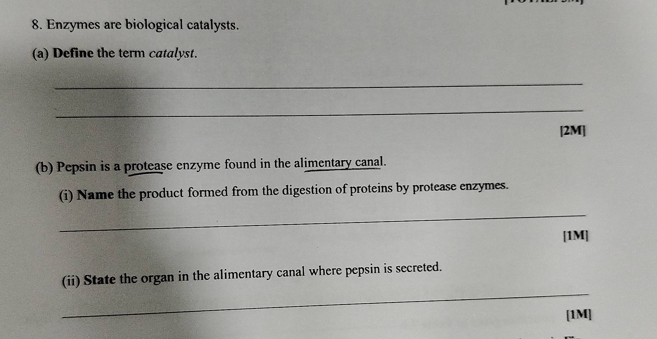 Enzymes are biological catalysts. 
(a) Define the term catalyst. 
_ 
_ 
[2M] 
(b) Pepsin is a protease enzyme found in the alimentary canal. 
(i) Name the product formed from the digestion of proteins by protease enzymes. 
_ 
[1M] 
_ 
(ii) State the organ in the alimentary canal where pepsin is secreted. 
[1M]