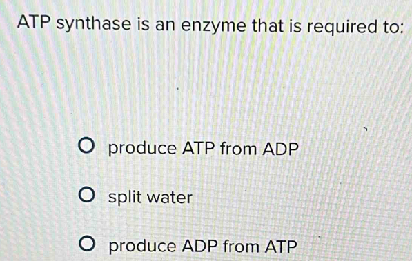Solved: ATP synthase is an enzyme that is required to: produce ATP from ...