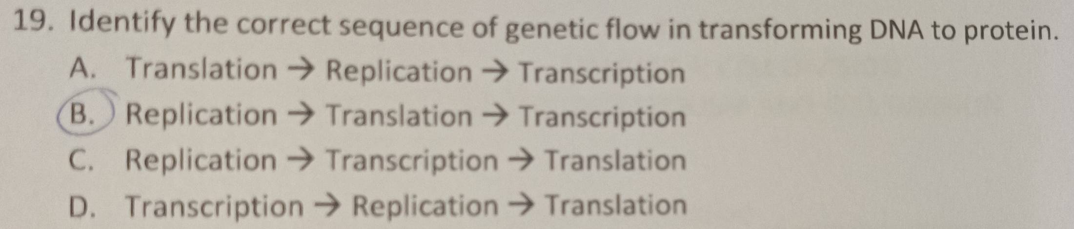 Identify the correct sequence of genetic flow in transforming DNA to protein.
A. Translation → Replication → Transcription
B. Replication → Translation → Transcription
C. Replication → Transcription → Translation
D. Transcription → Replication → Translation