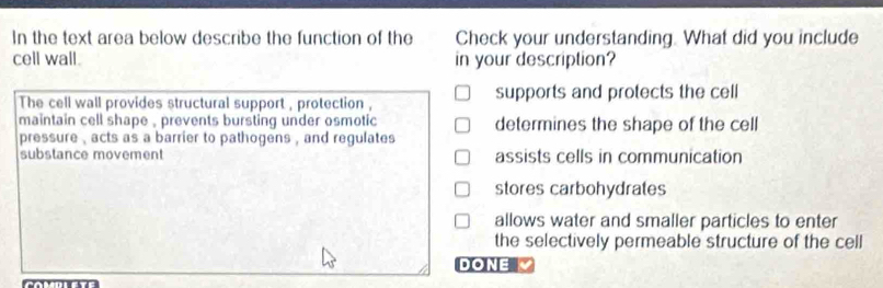 In the text area below describe the function of the Check your understanding. What did you include
cell wall. in your description?
The cell wall provides structural support , protection , supports and protects the cell
maintain cell shape , prevents bursting under osmotic determines the shape of the cell
pressure , acts as a barrier to pathogens , and regulates 
substance movement assists cells in communication
stores carbohydrates
allows water and smaller particles to enter
the selectively permeable structure of the cell
DONE