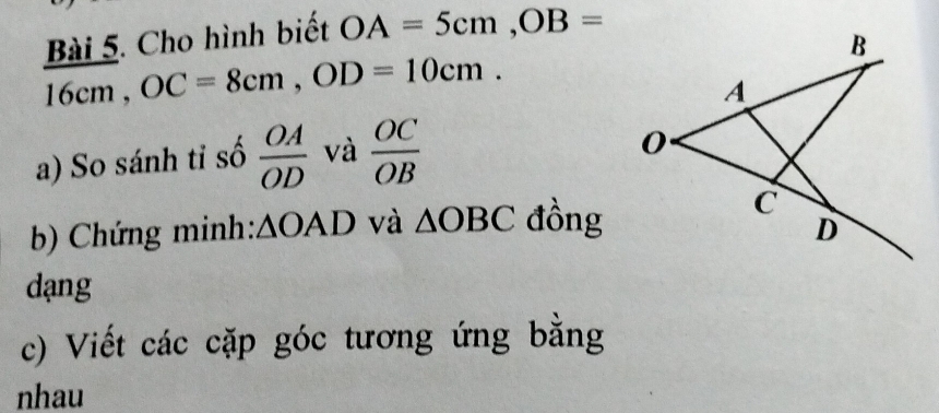 Cho hình biết OA=5cm, OB=
16cm, OC=8cm, OD=10cm. 
a) So sánh tỉ số  OA/OD  và  OC/OB 
b) Chứng minh: △ OAD và △ OBC đồng 
dạng 
c) Viết các cặp góc tương ứng bằng 
nhau