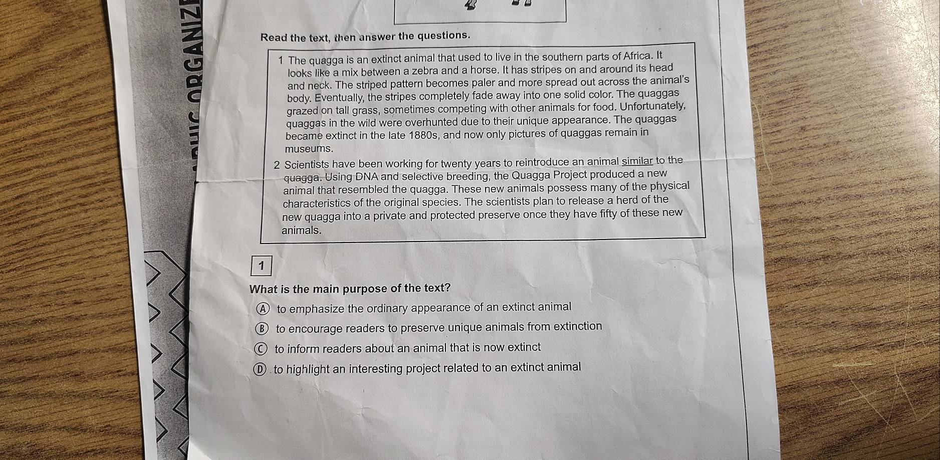 Read the text, then answer the questions.
1 The quagga is an extinct animal that used to live in the southern parts of Africa. It
looks like a mix between a zebra and a horse. It has stripes on and around its head
and neck. The striped pattern becomes paler and more spread out across the animal's
body. Eventually, the stripes completely fade away into one solid color. The quaggas
grazed on tall grass, sometimes competing with other animals for food. Unfortunately,
quaggas in the wild were overhunted due to their unique appearance. The quaggas
became extinct in the late 1880s, and now only pictures of quaggas remain in
museums.
2 Scientists have been working for twenty years to reintroduce an animal similar to the
quagga. Using DNA and selective breeding, the Quagga Project produced a new
animal that resembled the quagga. These new animals possess many of the physical
characteristics of the original species. The scientists plan to release a herd of the
new quagga into a private and protected preserve once they have fifty of these new
animals.
1
What is the main purpose of the text?
④ to emphasize the ordinary appearance of an extinct animal
⑧ to encourage readers to preserve unique animals from extinction
to inform readers about an animal that is now extinct
① to highlight an interesting project related to an extinct animal