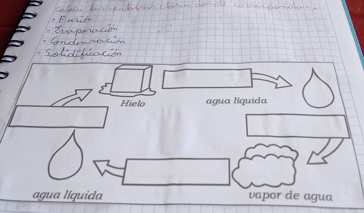 Hielo agua líquida
agua líquida vapor de agua