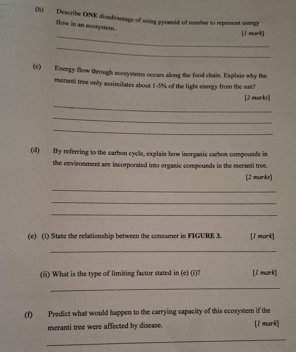 Describe ONE disadvantage of using pyramid of number to represent energy 
flow in an ecosystem. 
_[1 mark] 
_ 
(c) Energy flow through ecosystems occurs along the food chain. Explain why the 
meranti tree only assimilates about 1-5% of the light energy from the sun? 
[2 marks] 
_ 
_ 
_ 
(d) By referring to the carbon cycle, explain how inorganic carbon compounds in 
the environment are incorporated into organic compounds in the meranti tree. 
[2 marks] 
_ 
_ 
_ 
(e) (i) State the relationship between the consumer in FIGURE 3. [1 mark] 
_ 
(ii) What is the type of limiting factor stated in (e) (i)? [1 mark] 
_ 
(f) Predict what would happen to the carrying capacity of this ecosystem if the 
meranti tree were affected by disease. [1 mark] 
_