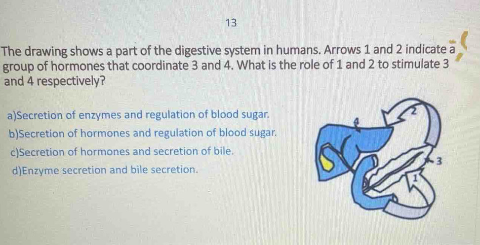 The drawing shows a part of the digestive system in humans. Arrows 1 and 2 indicate a
group of hormones that coordinate 3 and 4. What is the role of 1 and 2 to stimulate 3
and 4 respectively?
a)Secretion of enzymes and regulation of blood sugar.
b)Secretion of hormones and regulation of blood sugar.
c)Secretion of hormones and secretion of bile.
d)Enzyme secretion and bile secretion.